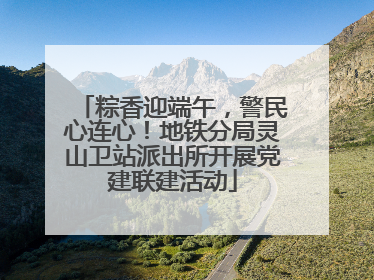 粽香迎端午，警民心连心！地铁分局灵山卫站派出所开展党建联建活动