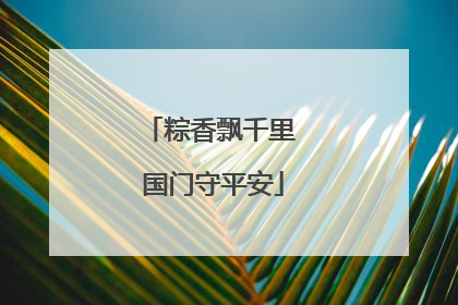 粽香飘千里 国门守平安
