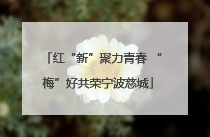 红“新”聚力青春 “梅”好共荣宁波慈城