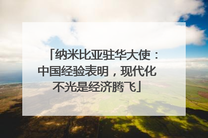纳米比亚驻华大使：中国经验表明，现代化不光是经济腾飞