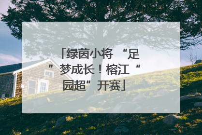 绿茵小将 “足”梦成长！榕江“园超”开赛