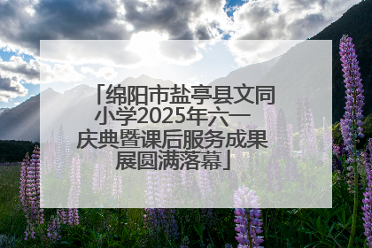 绵阳市盐亭县文同小学2025年六一庆典暨课后服务成果展圆满落幕
