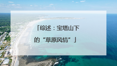 综述：宝塔山下的“草原风情”
