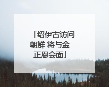 绍伊古访问朝鲜 将与金正恩会面