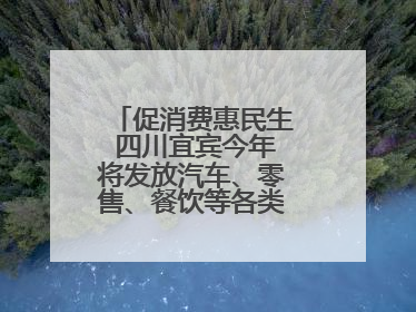 促消费惠民生 四川宜宾今年将发放汽车、零售、餐饮等各类消费券2亿元