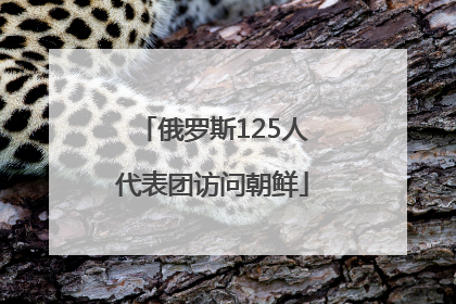 俄罗斯125人代表团访问朝鲜