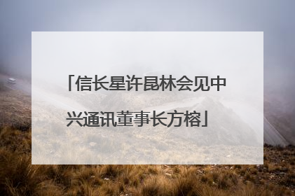 信长星许昆林会见中兴通讯董事长方榕