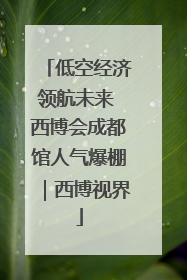 低空经济领航未来 西博会成都馆人气爆棚｜西博视界