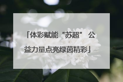 体彩赋能“苏超” 公益力量点亮绿茵精彩
