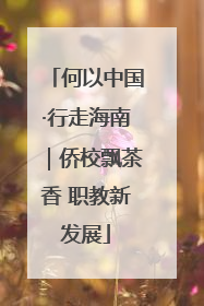 何以中国·行走海南｜侨校飘茶香 职教新发展