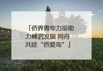 侨界青年力量助力嵊泗发展 同舟共建“侨爱岛”