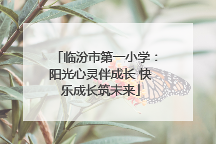 临汾市第一小学：阳光心灵伴成长 快乐成长筑未来