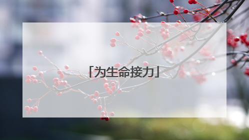 为生命接力