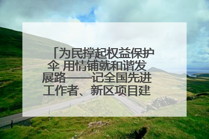 为民撑起权益保护伞 用情铺就和谐发展路——记全国先进工作者、新区项目建设中心干部卢小勇