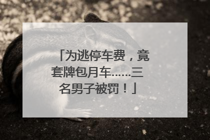 为逃停车费，竟套牌包月车……三名男子被罚！