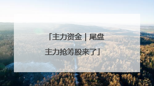 主力资金｜尾盘主力抢筹股来了