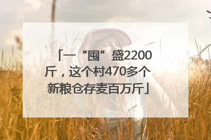 一“囤”盛2200斤，这个村470多个新粮仓存麦百万斤