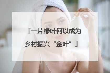 一片绿叶何以成为乡村振兴“金叶”