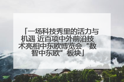 一场科技秀里的活力与机遇 近百项中外前沿技术亮相中东欧博览会“数智中东欧”板块