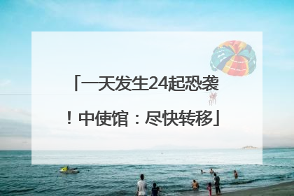 一天发生24起恐袭！中使馆：尽快转移