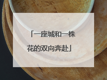 一座城和一株花的双向奔赴