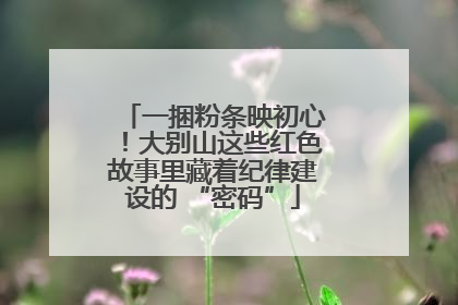一捆粉条映初心！大别山这些红色故事里藏着纪律建设的 “密码”