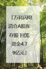 万科闪电清仓A股库存股 回笼资金4.79亿元