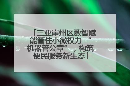 三亚崖州区数智赋能管住小微权力 “机器管公章”，构筑便民服务新生态