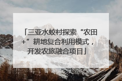 三亚水蛟村探索“农田+”耕地复合利用模式，开发农旅融合项目