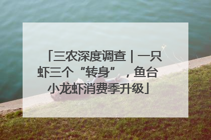 三农深度调查｜一只虾三个“转身”，鱼台小龙虾消费季升级