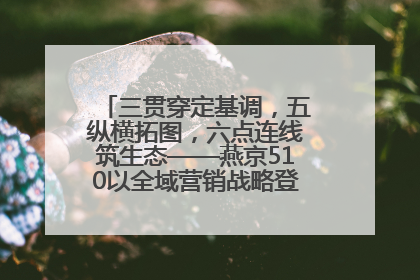 三贯穿定基调，五纵横拓图，六点连线筑生态——燕京510以全域营销战略登顶行业IP新高度