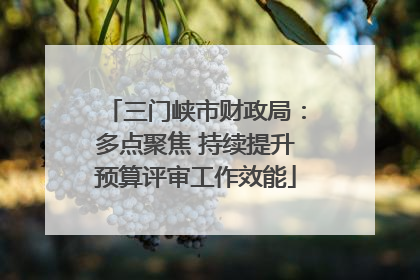 三门峡市财政局：多点聚焦 持续提升预算评审工作效能