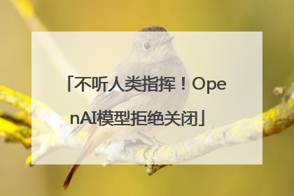 不听人类指挥！OpenAI模型拒绝关闭