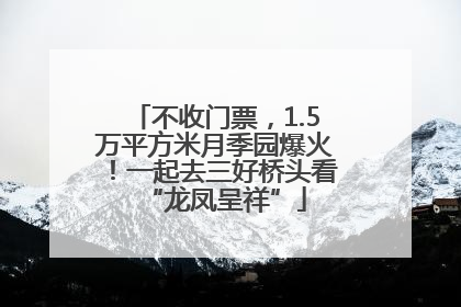 不收门票，1.5万平方米月季园爆火！一起去三好桥头看“龙凤呈祥”