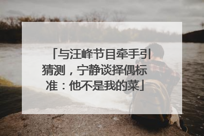 与汪峰节目牵手引猜测，宁静谈择偶标准：他不是我的菜