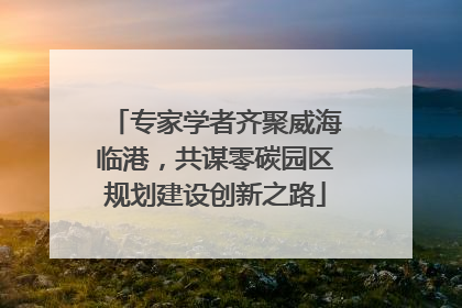 专家学者齐聚威海临港，共谋零碳园区规划建设创新之路