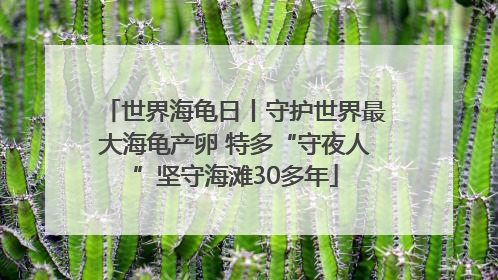 世界海龟日丨守护世界最大海龟产卵 特多“守夜人”坚守海滩30多年