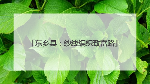 东乡县：纱线编织致富路