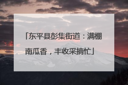 东平县彭集街道：满棚南瓜香，丰收采摘忙