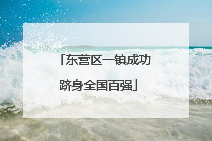 东营区一镇成功跻身全国百强