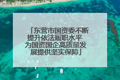 东营市国资委不断提升依法履职水平 为国资国企高质量发展提供坚实保障