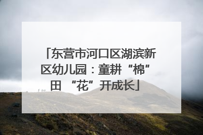 东营市河口区湖滨新区幼儿园：童耕“棉”田 “花”开成长