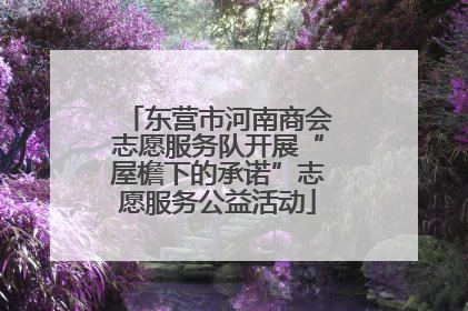 东营市河南商会志愿服务队开展“屋檐下的承诺”志愿服务公益活动