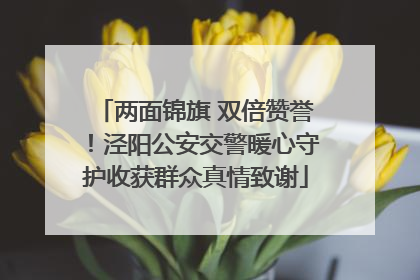 两面锦旗 双倍赞誉！泾阳公安交警暖心守护收获群众真情致谢