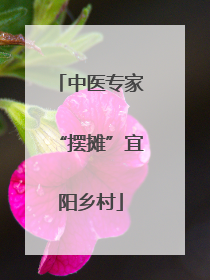 中医专家“摆摊”宜阳乡村
