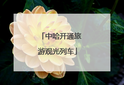 中哈开通旅游观光列车