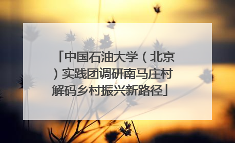 中国石油大学（北京）实践团调研南马庄村解码乡村振兴新路径