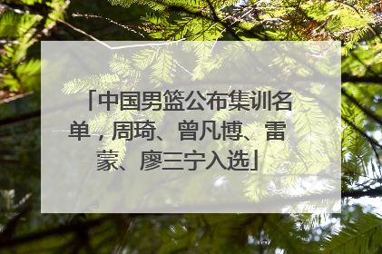 中国男篮公布集训名单，周琦、曾凡博、雷蒙、廖三宁入选