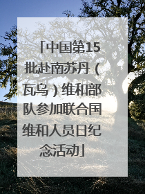 中国第15批赴南苏丹（瓦乌）维和部队参加联合国维和人员日纪念活动