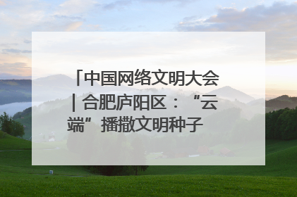 中国网络文明大会｜合肥庐阳区：“云端”播撒文明种子 共建清朗网络空间